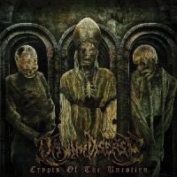 Dawn Of Disease - Crypts of the Unrotten