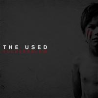 The Used - Vulnerable (II)