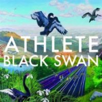Athlete - Black Swan