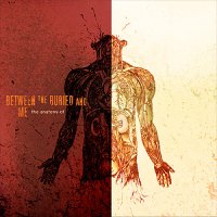 Between The Buried And Me - The Anatomy Of