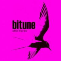 Bitune - After The Fire
