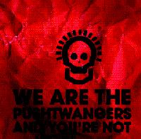 Pushtwangers - We Are The Pushtwanger And Youre Not